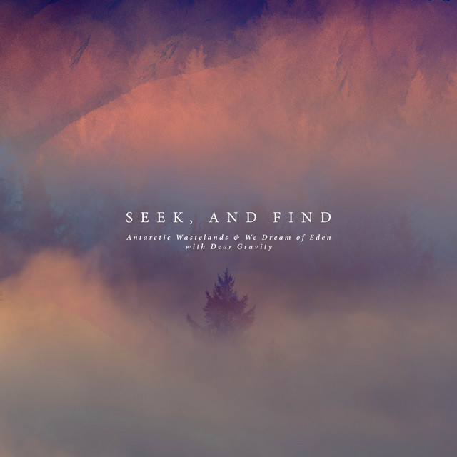 Seek, And Find cover art