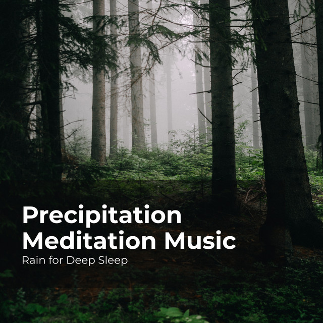 Precipitation Meditation Music - Album by Rain for Deep Sleep | Spotify