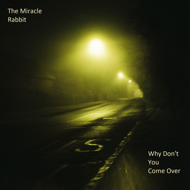 Why Don't You Come Over - Single by The Miracle Rabbit | Spotify