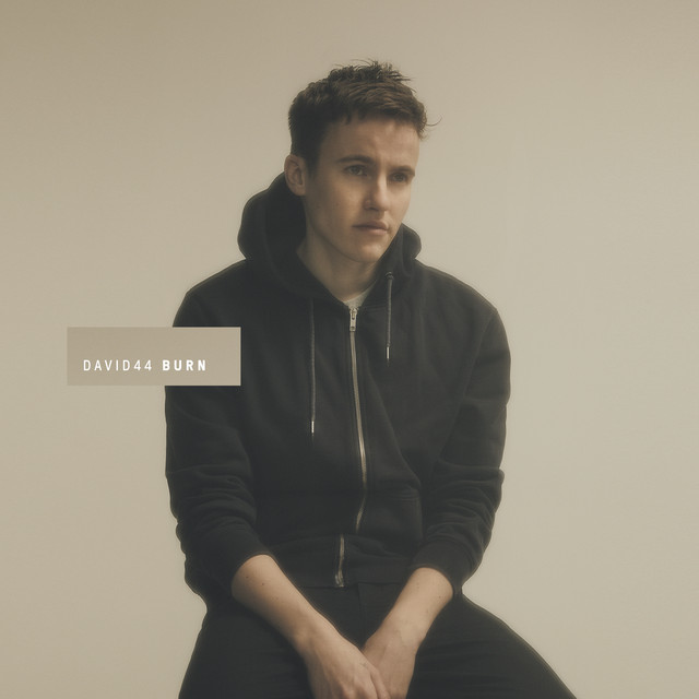 Burn cover art