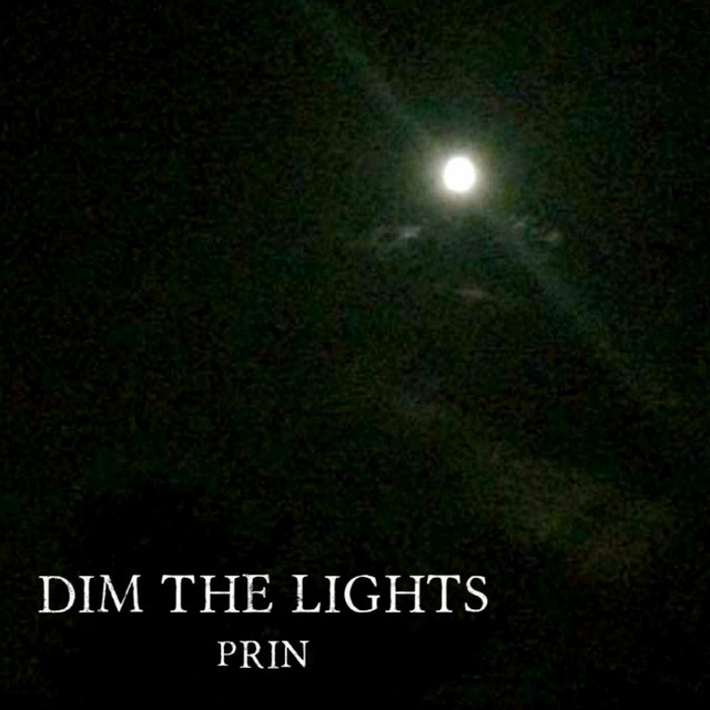 Dim the Lights cover art