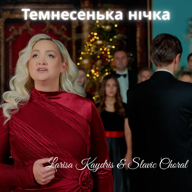 Обкладинка: Темнесенька Нічка — Nataliya Ginkul