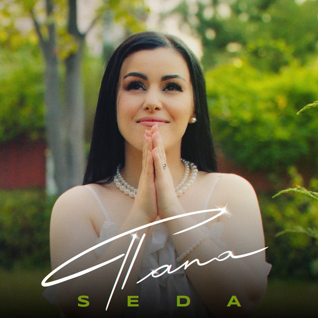 SYTD⭐️PAPA Папа - song and lyrics by SEDA | Spotify