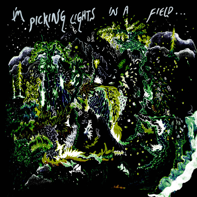 I'm Picking Lights in a Field cover art