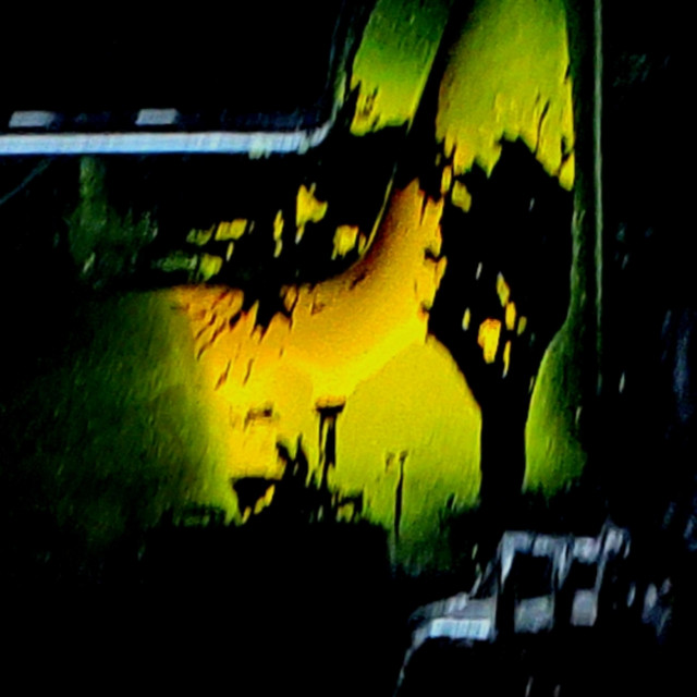 PAREIDOLIA cover art