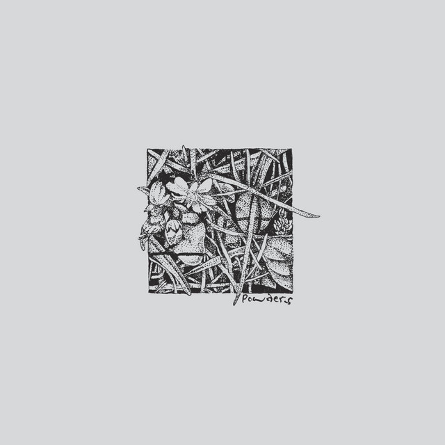 Concede to Circumstance cover art