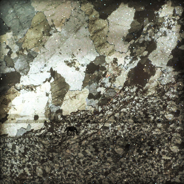 Bronco cover art