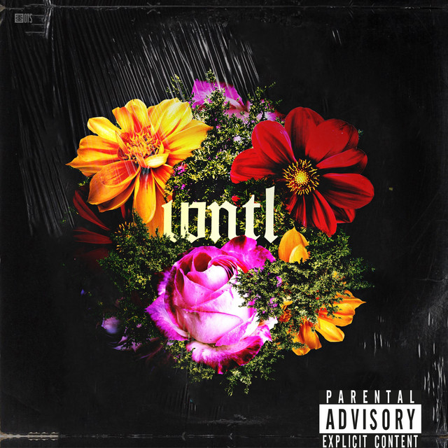 What's Not To Love? cover art