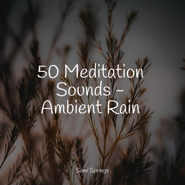 50 Meditation Sounds - Ambient Rain - Album by Regengeräusche | Spotify