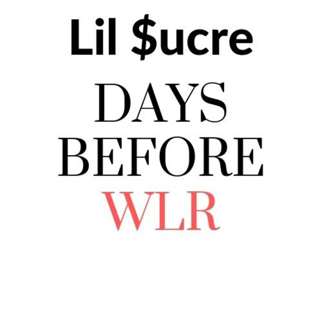 Days before Wlr cover art