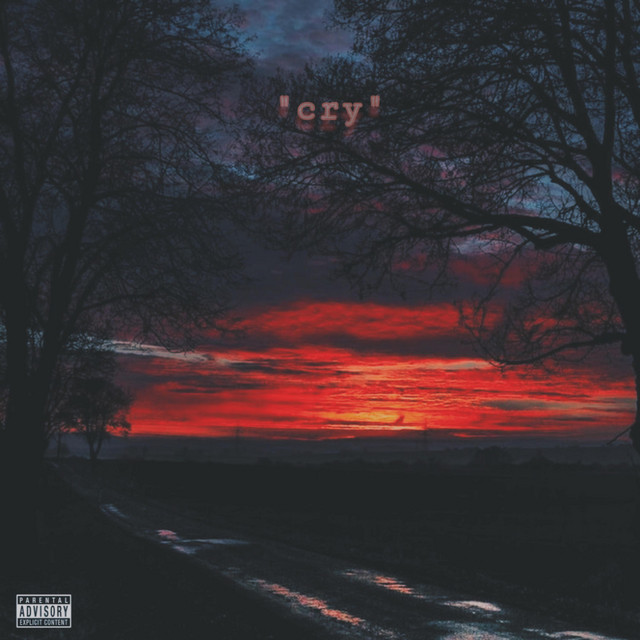 cry - Single by Wavvyboston | Spotify