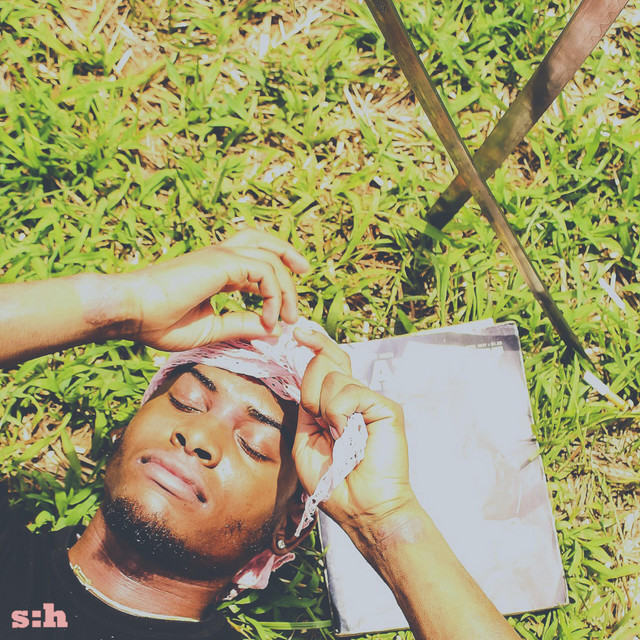 Y.W.N.B.S cover art