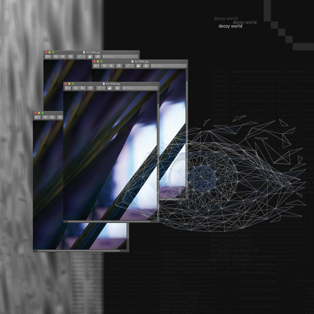 Decoy World cover art