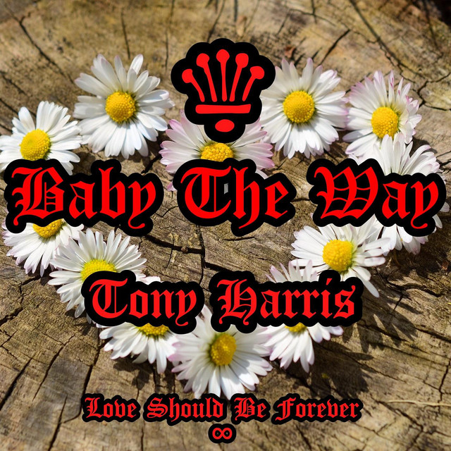 Baby The Way cover