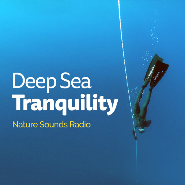 Deep Sea Tranquility cover art