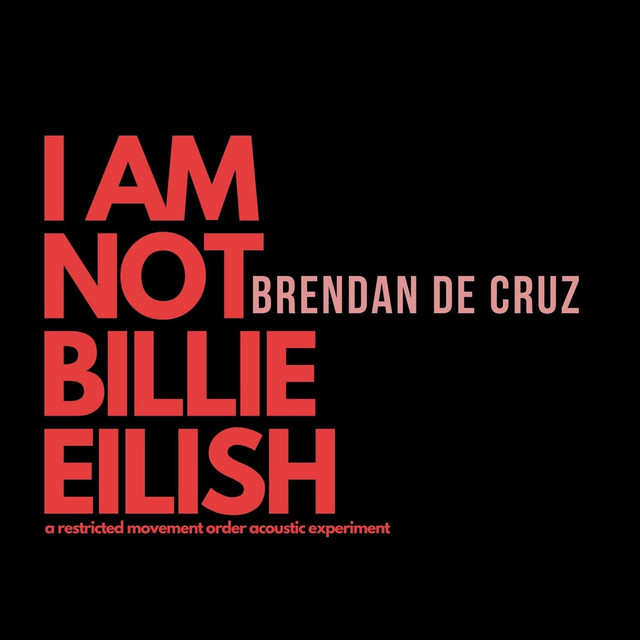 I Am Not Billie Eilish