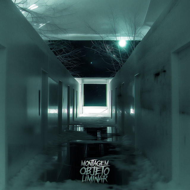 Montagem Objeto Liminar - Super Slowed