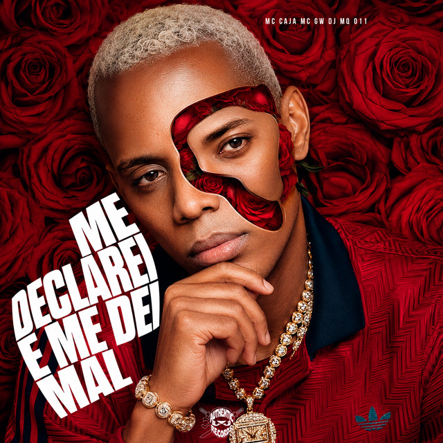 Me Declarei e Me Dei Mal