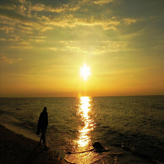 Feelings cover