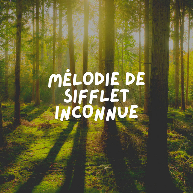 Mélodie de Sifflet Inconnue cover art