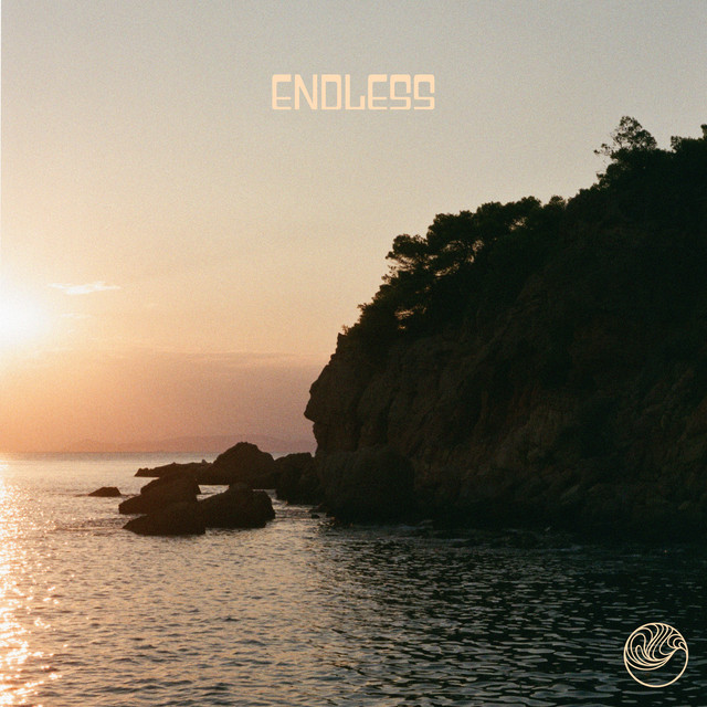 Endless cover