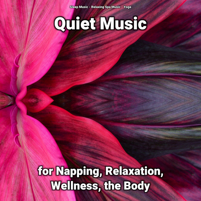 Quiet Music Pt. 44 - song and lyrics by Sleep Music, Relaxing Spa Music ...