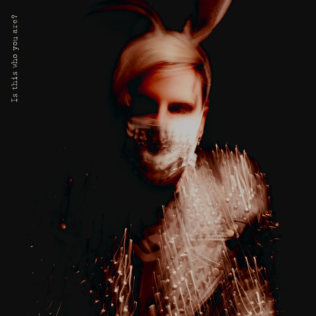Is This Who You Are? cover
