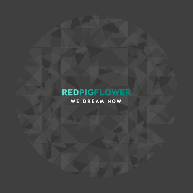 We Dream Now album art