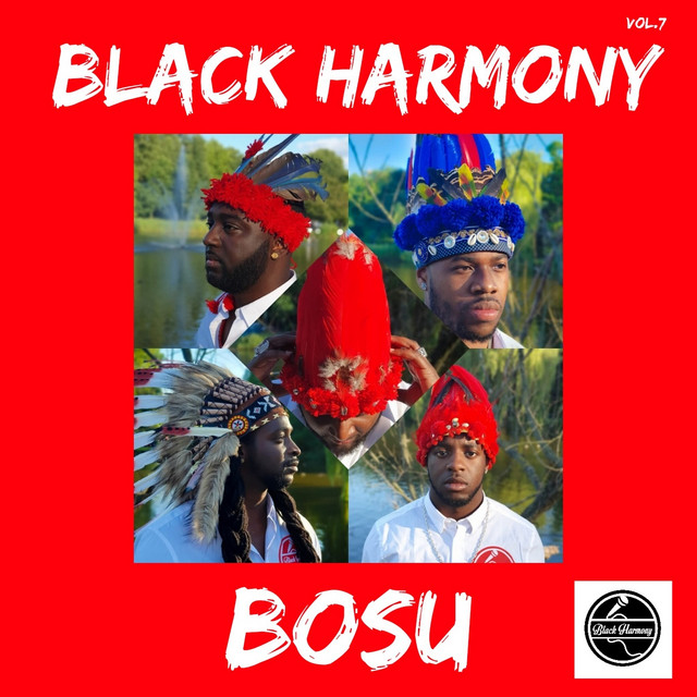Bosu, Vol. 7 cover art