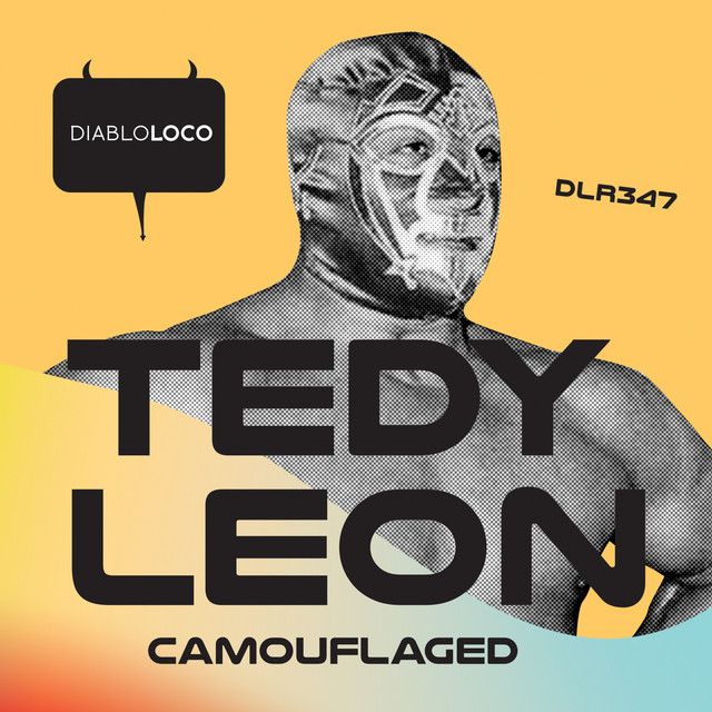 Camouflaged album art