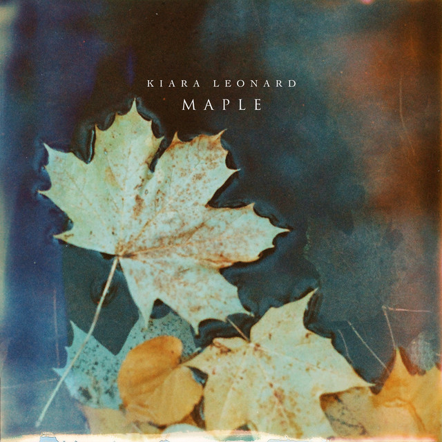 Maple by Kiara Leonard