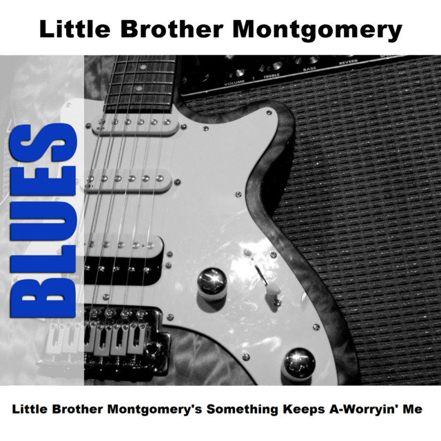 Little Brother Montgomery's Something Keeps A-Worryin' Me cover art