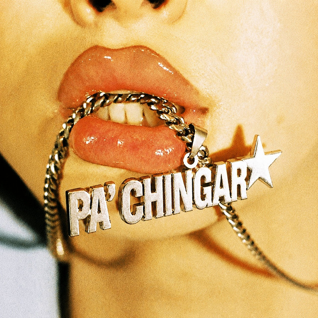 Pa Chingar