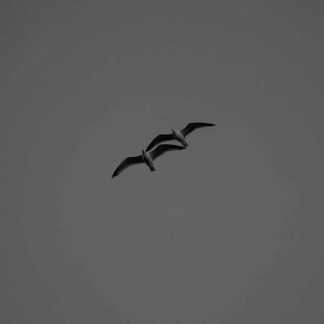 Recurring dreams cover art