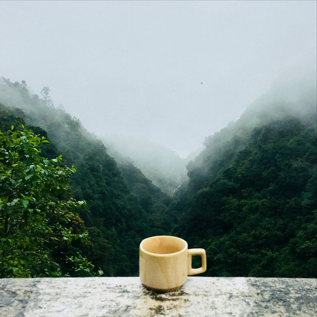 Fall Relaxation & Mindfulness Collection cover art