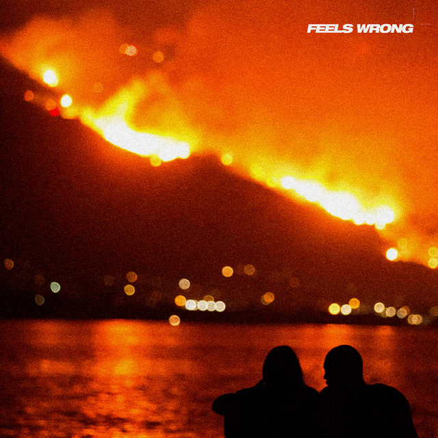 Feels Wrong cover art