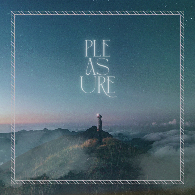 Pleasure cover