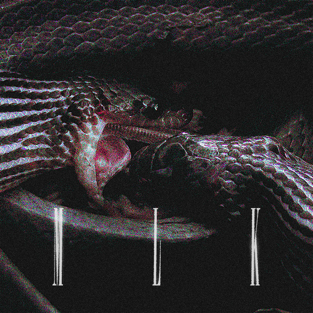 M.L.K cover art