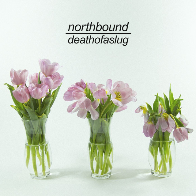 Death Of A Slug cover art