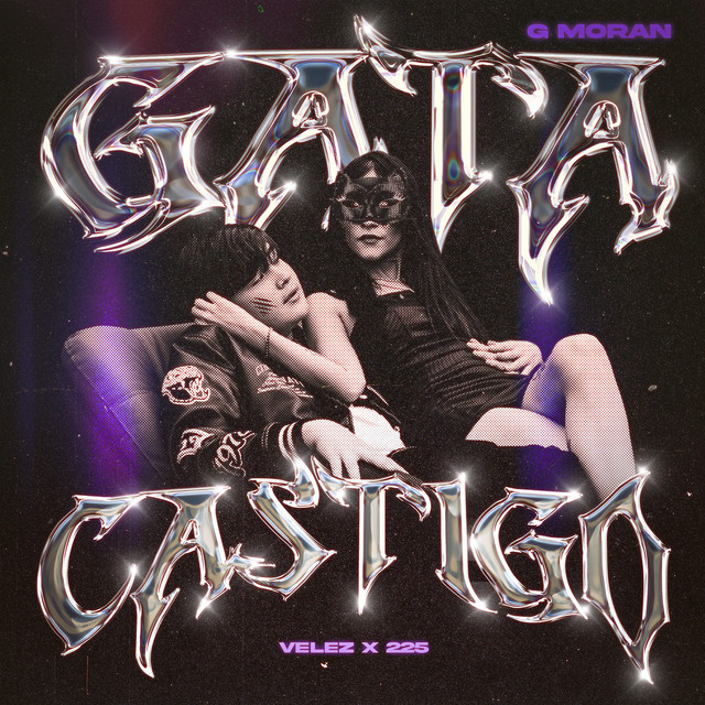 Gata Castigo