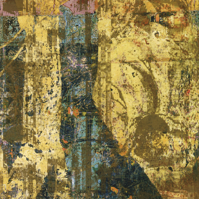 Disjecta Photo