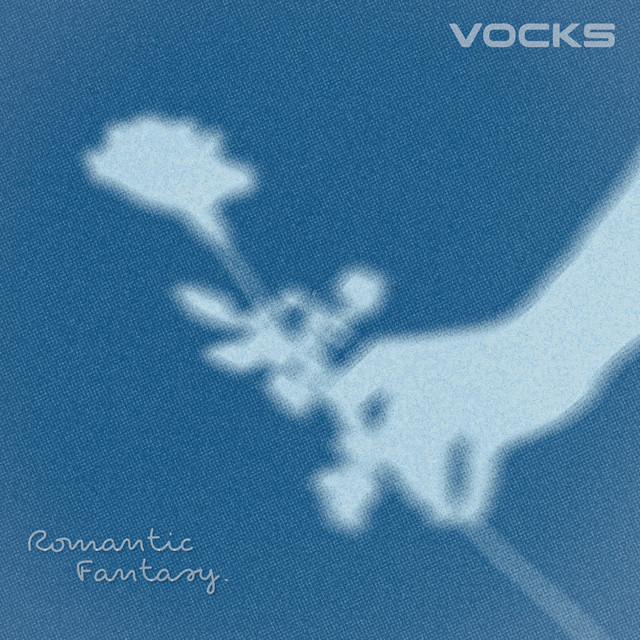 VOCKS