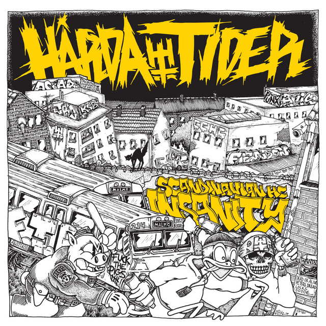 Scandanavian Hardcore Insanity cover art