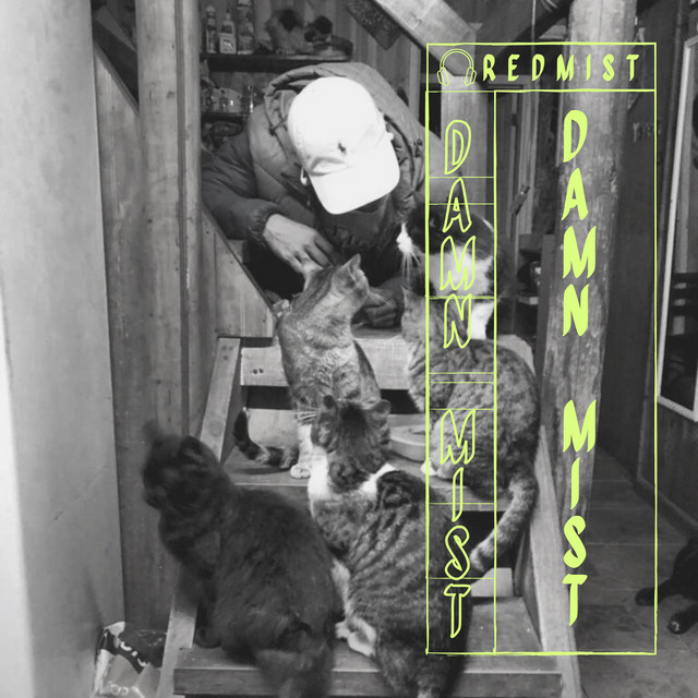 Damn Mist cover art