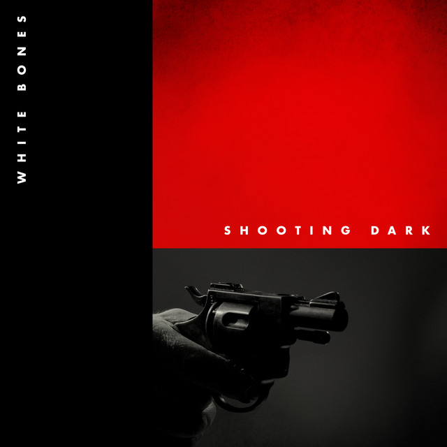 Shooting Dark cover art