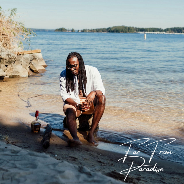 Far From Paradise cover art