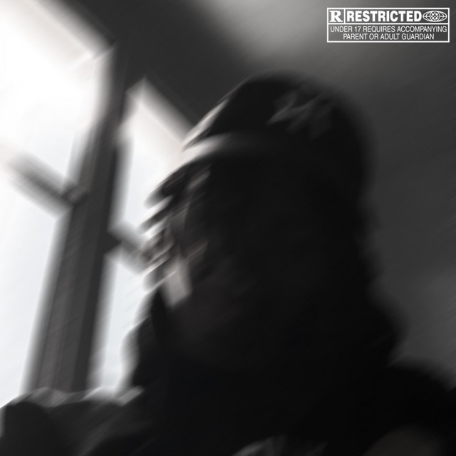 Normal cover art