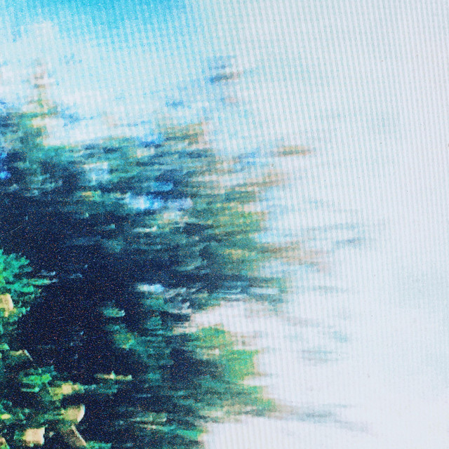 Falling forward cover art