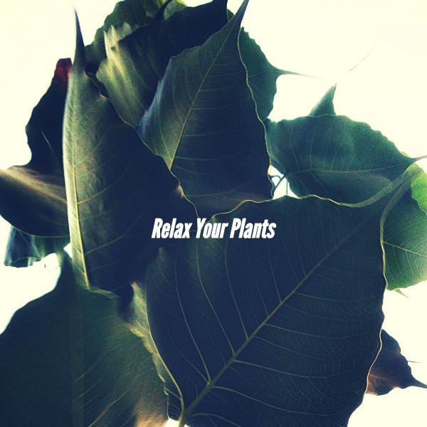 Relax Your Plants cover art