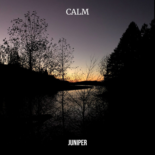 Calm - Single by juniper | Spotify